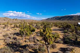 1102 Burlington Rd, Pioneertown, CA 92268 - Photo 65