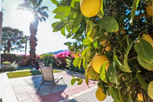 310 Via Don Benito, Cathedral City, CA 92234 - Photo 35