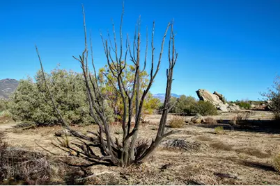 68135 Glacier Pass, Mountain Center, CA 92561 - Photo 15