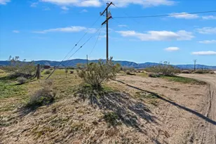 49133 Manzanita Dr, Landers, CA 92285 - Photo 35