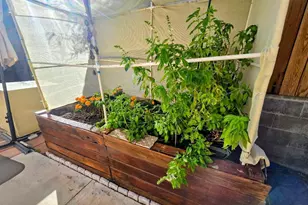 5 Prickly Pear Ln, Palm Desert, CA 92260 - Photo 35