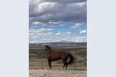 7077 Camp Rock Road, Lucerne Valley, CA 92356 - Photo 1