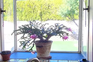 64550 Brae Burn Ave, Desert Hot Springs, CA 92240 - Photo 13