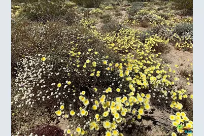 58575 Gerrie Lane, Landers, CA 92285 - Photo 23