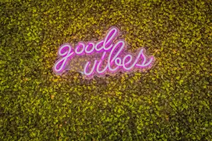 83347 Mango Walk, Indio, CA 92201 - Photo 23