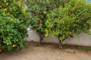 68947 Risueno Rd, Cathedral City, CA 92234 - Photo 49