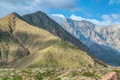 2065 Vista Palizada Drive, Palm Springs, CA 92262 - Photo 7