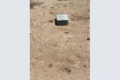 66055 Mars Drive, Joshua Tree, CA 92252 - Photo 5