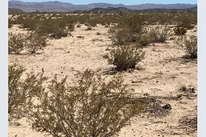 66055 Mars Drive, Joshua Tree, CA 92252 - Photo 7