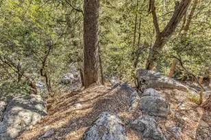 24700 Forest Dr, Idyllwild, CA 92549 - Photo 81
