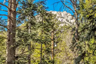 24700 Forest Dr, Idyllwild, CA 92549 - Photo 49