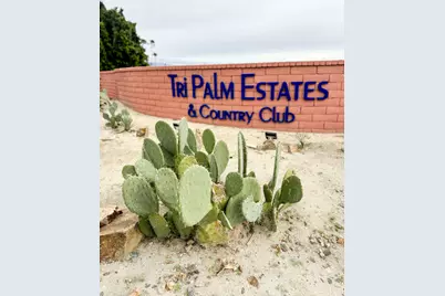 33530 Acapulco Trail, Thousand Palms, CA 92276 - Photo 21