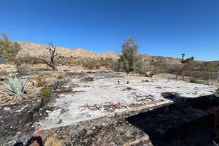 9155 Lanning Ln, Morongo Valley, CA 92256 - Photo 1