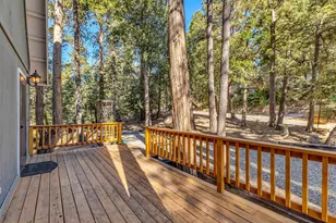 52402 Pine Ridge Rd, Idyllwild, CA 92549 - Photo 11