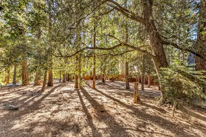 52402 Pine Ridge Road, Idyllwild, CA 92549 - Photo 67