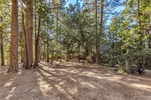 52402 Pine Ridge Rd, Idyllwild, CA 92549 - Photo 63