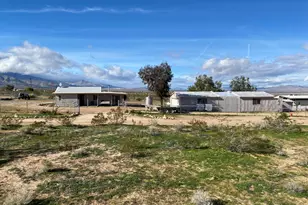 52020 Joshua Tree Rd, Johnson Valley, CA 92285 - Photo 7