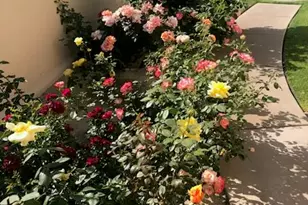 49240 Jfk Trail, Palm Desert, CA 92260 - Photo 59