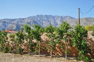 3757 El Dorado Blvd, Palm Springs, CA 92262 - Photo 5