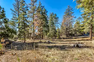 25740 Fir St, Idyllwild, CA 92549 - Photo 51