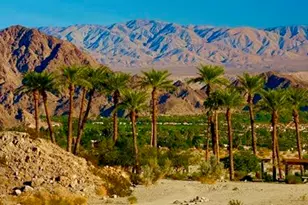 415 Village Square W, Palm Springs, CA 92262 - Photo 25