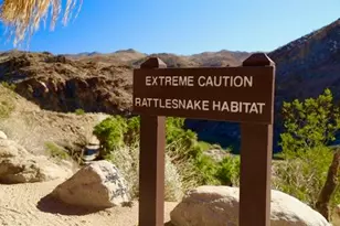 415 Village Square W, Palm Springs, CA 92262 - Photo 45