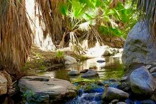 415 Village Square W, Palm Springs, CA 92262 - Photo 69