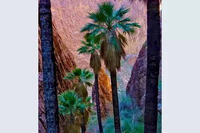 415 Village Square W, Palm Springs, CA 92262 - Photo 43