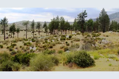 0 Bonita Vista Road, Mountain Center, CA 92561 - Photo 15