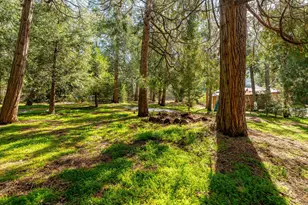 54820 Fern Dr, Idyllwild, CA 92549 - Photo 41