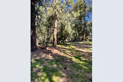 54820 Fern Drive, Idyllwild, CA 92549 - Photo 17