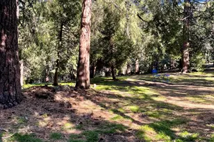 54820 Fern Dr, Idyllwild, CA 92549 - Photo 17