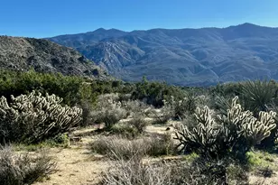 0 Apn# 635 393 007, Mountain Center, CA 92561 - Photo 1