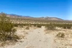 128 Caspers Rd, Landers, CA 92285 - Photo 9