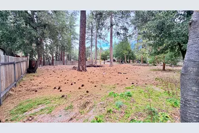 52671 Cedar Drive, Idyllwild, CA 92549 - Photo 9