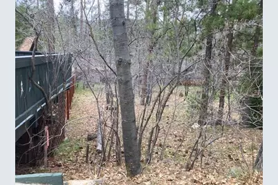 0 Country Club, Idyllwild, CA 92549 - Photo 3