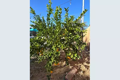 68579 E Street, Cathedral City, CA 92234 - Photo 43