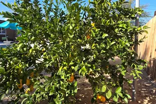 68579 E St, Cathedral City, CA 92234 - Photo 43