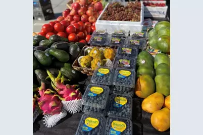 74711 Dillon Rd Spc 67, Desert Hot Springs, CA 92241 - Photo 45