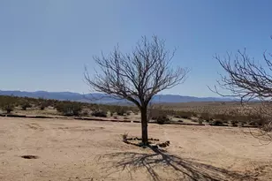 64625 Sonora Rd, Joshua Tree, CA 92252 - Photo 15