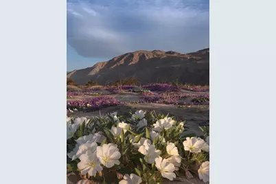 5 Ac Old Aqueduct Road, Indio, CA 92201 - Photo 5