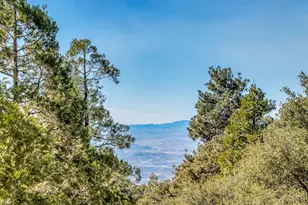 52365 Pine Ridge Rd, Idyllwild, CA 92549 - Photo 31