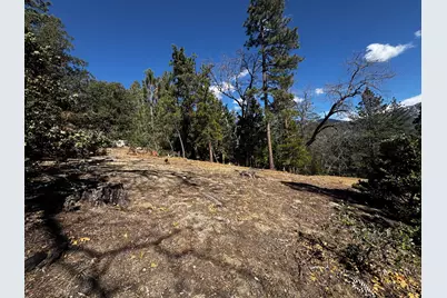 25327 Scenic View Drive, Idyllwild, CA 92549 - Photo 13