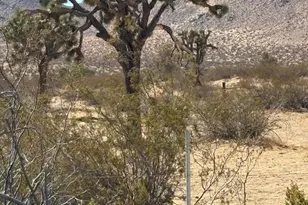 44252 203rd St E, Lancaster, CA 93535 - Photo 31