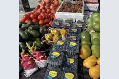 74711 Dillon Rd Spc 95, Desert Hot Springs, CA 92241 - Photo 37