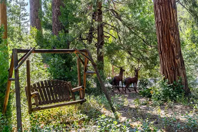 25140 Rim Rock Road, Idyllwild, CA 92549 - Photo 13