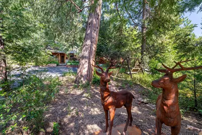 25140 Rim Rock Road, Idyllwild, CA 92549 - Photo 11