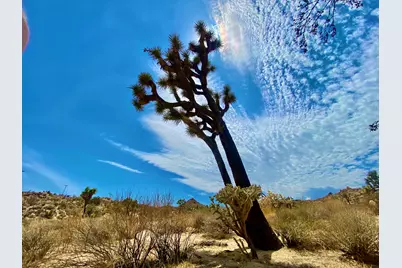 104 Bandera Road, Yucca Valley, CA 92284 - Photo 23