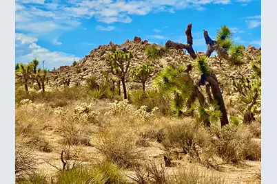 104 Bandera Road, Yucca Valley, CA 92284 - Photo 33