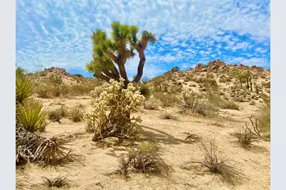 104 Bandera Road, Yucca Valley, CA 92284 - Photo 15